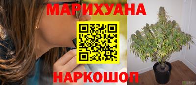 гидра Гусев