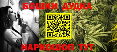 гидропоника Гусиноозёрск