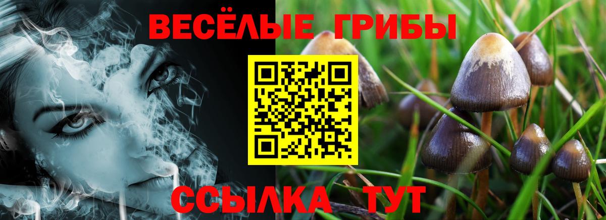 Псилоцибиновые грибы мухоморы Кострома