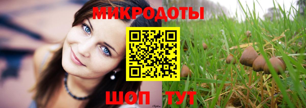 Псилоцибиновые грибы Magic Shrooms  Вход с VPN  Псилоцибиновые грибы GOLDEN TEACHER  Кострома 